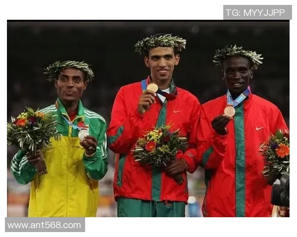 球星11号荣耀之路追逐绿茵梦想点燃无尽激情